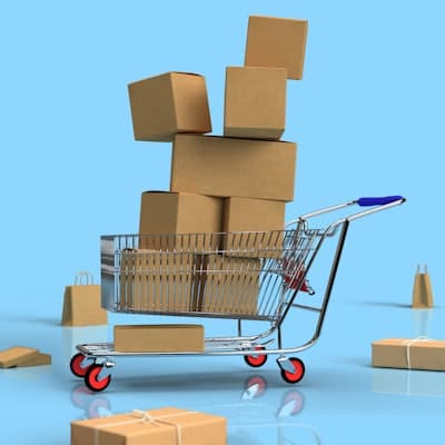Shopify e-commerce